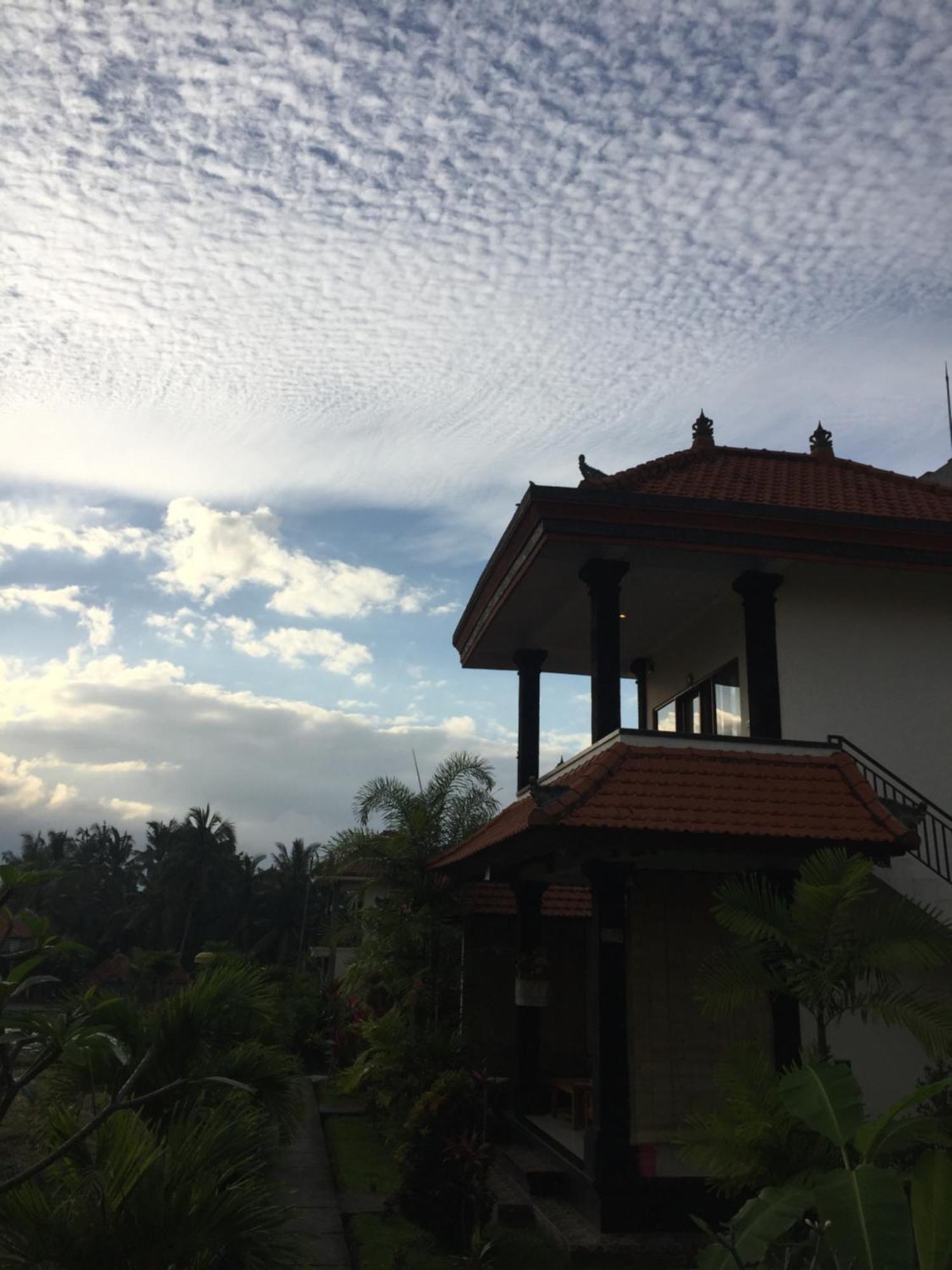 Sari Bungalow Ubud Exteriör bild