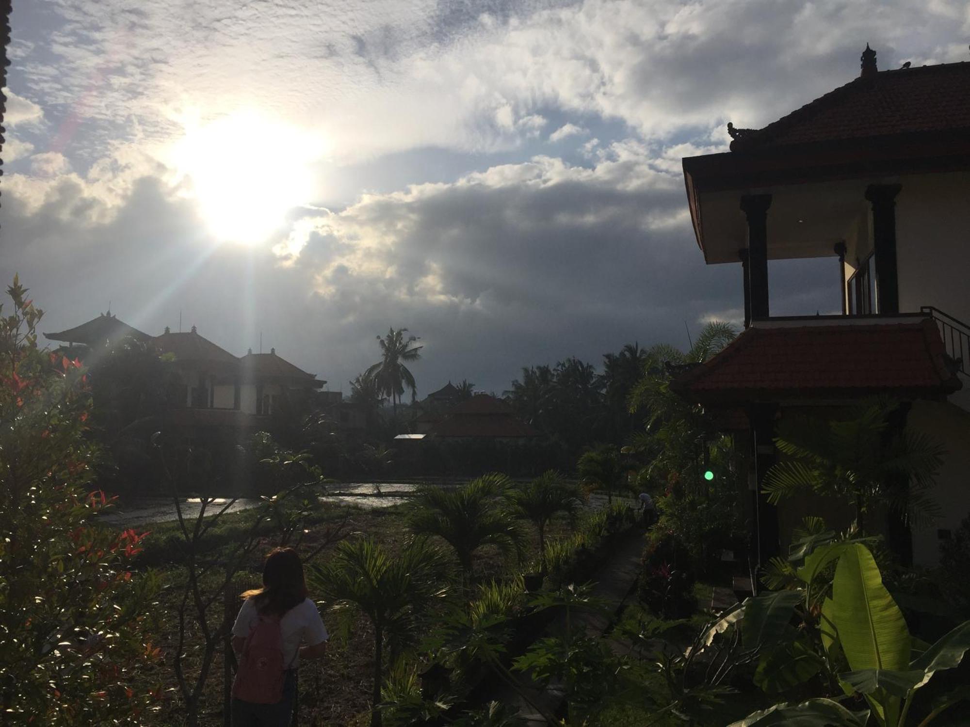 Sari Bungalow Ubud Exteriör bild