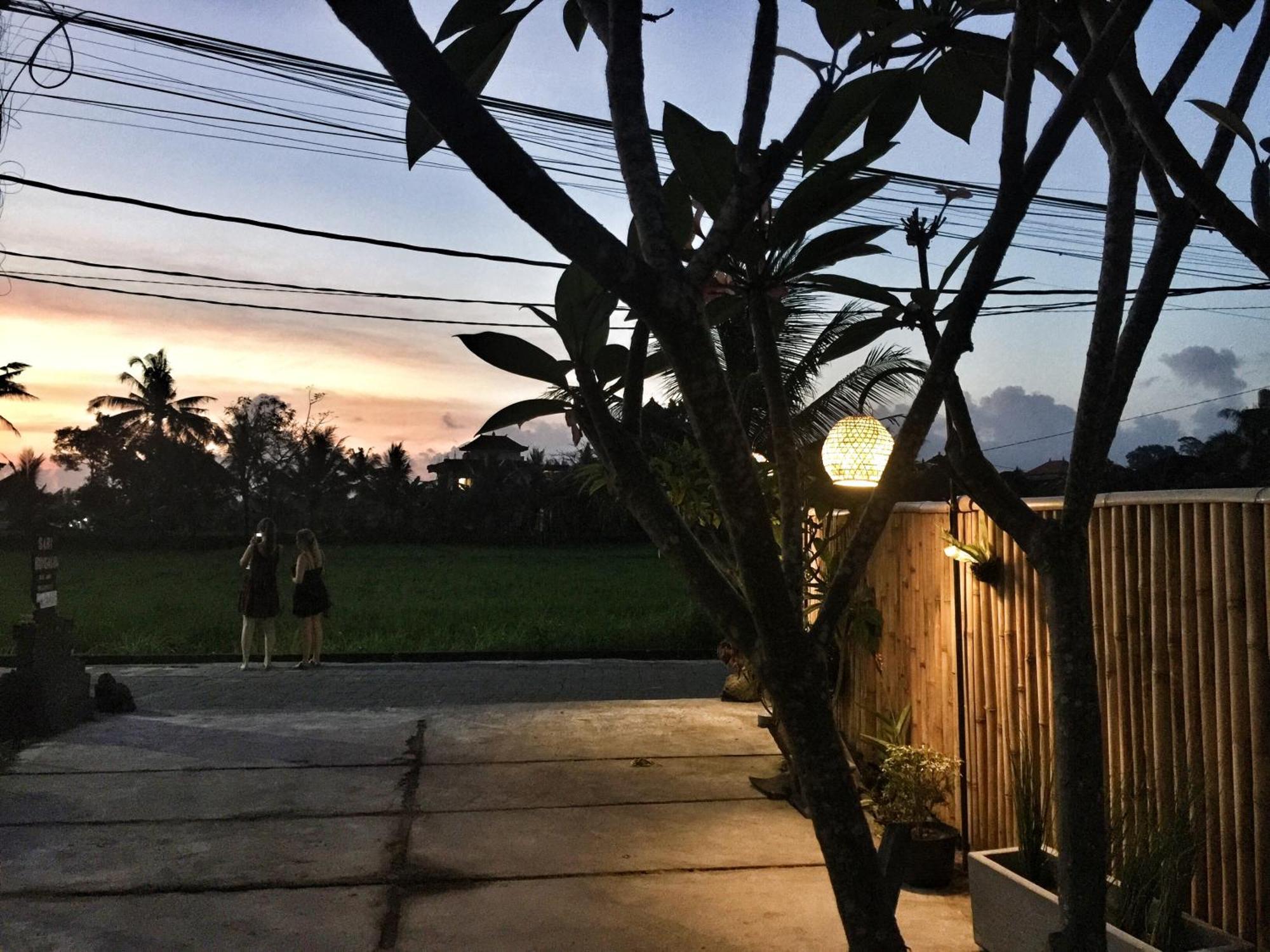 Sari Bungalow Ubud Exteriör bild